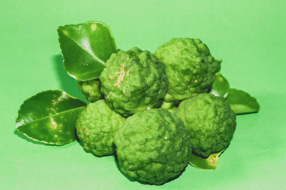 De Geurnoot Bergamot : Waarom deze citrusgeur perfect is voor een carparfum