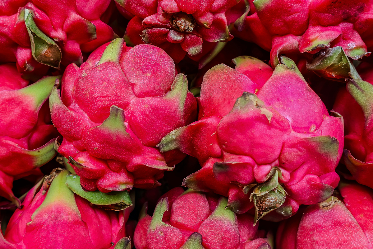 Roze drakenfruit als geurnoot : Waar fris en fruitig samenkomen